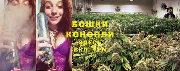 apvp Мегион