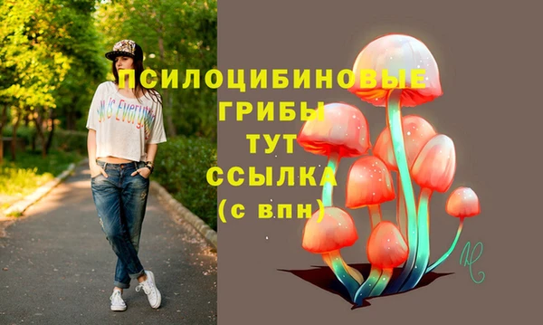 амфетамин Медвежьегорск