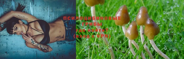 синтетический гашиш Медногорск