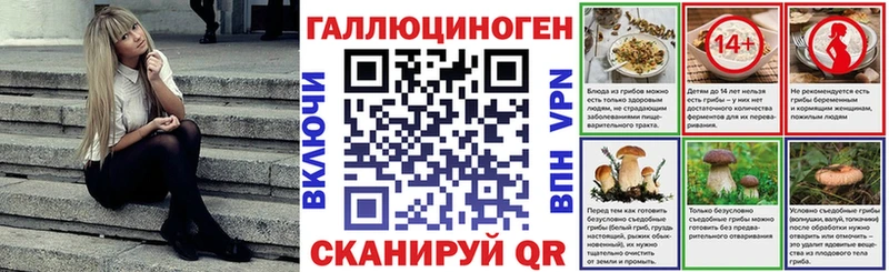 Псилоцибиновые грибы GOLDEN TEACHER Норильск