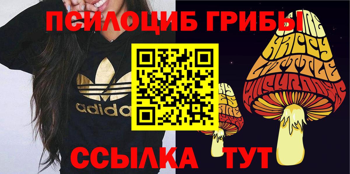 Псилоцибиновые грибы GOLDEN TEACHER  Норильск 