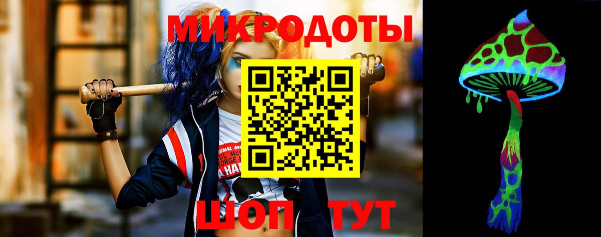 Галлюциногенные грибы Psilocybine cubensis Норильск